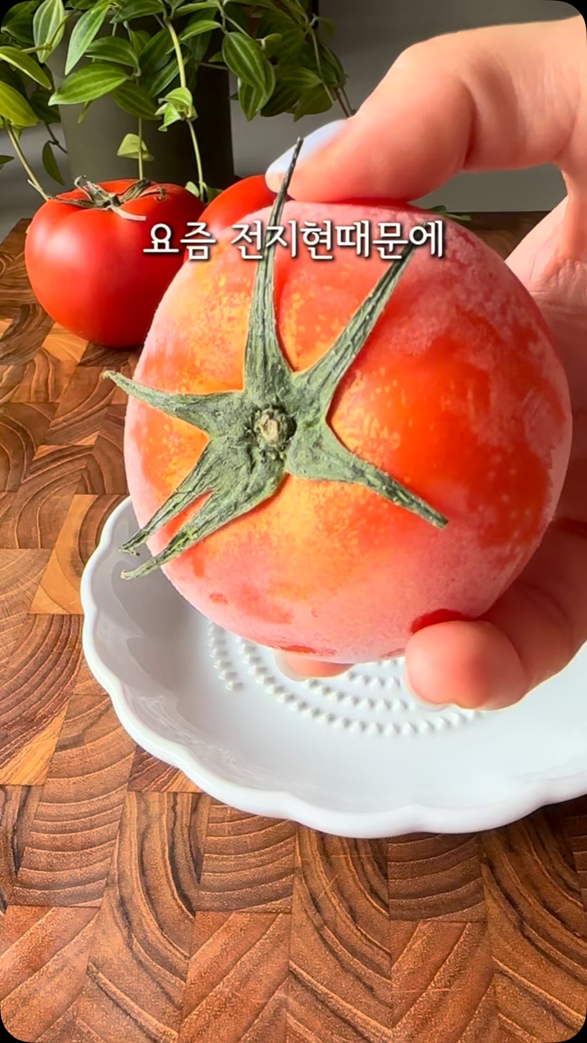 종합소득세 신고 대행