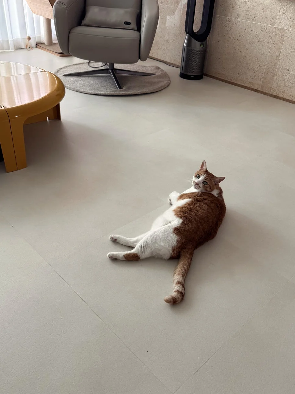 양봉장 꿀체험 4
