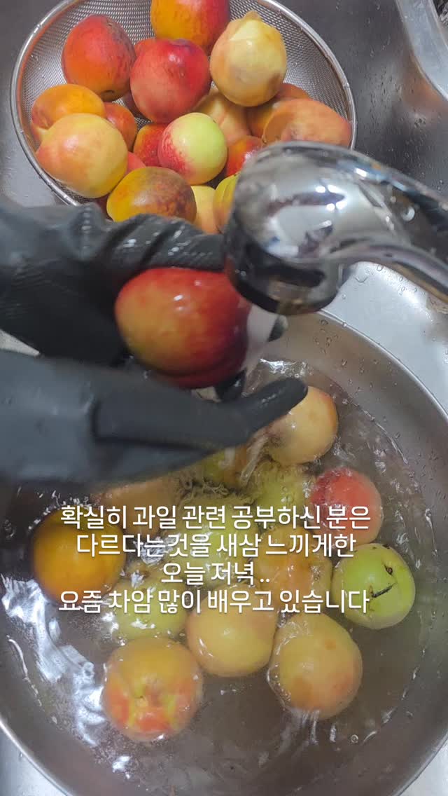머슬핏 코디