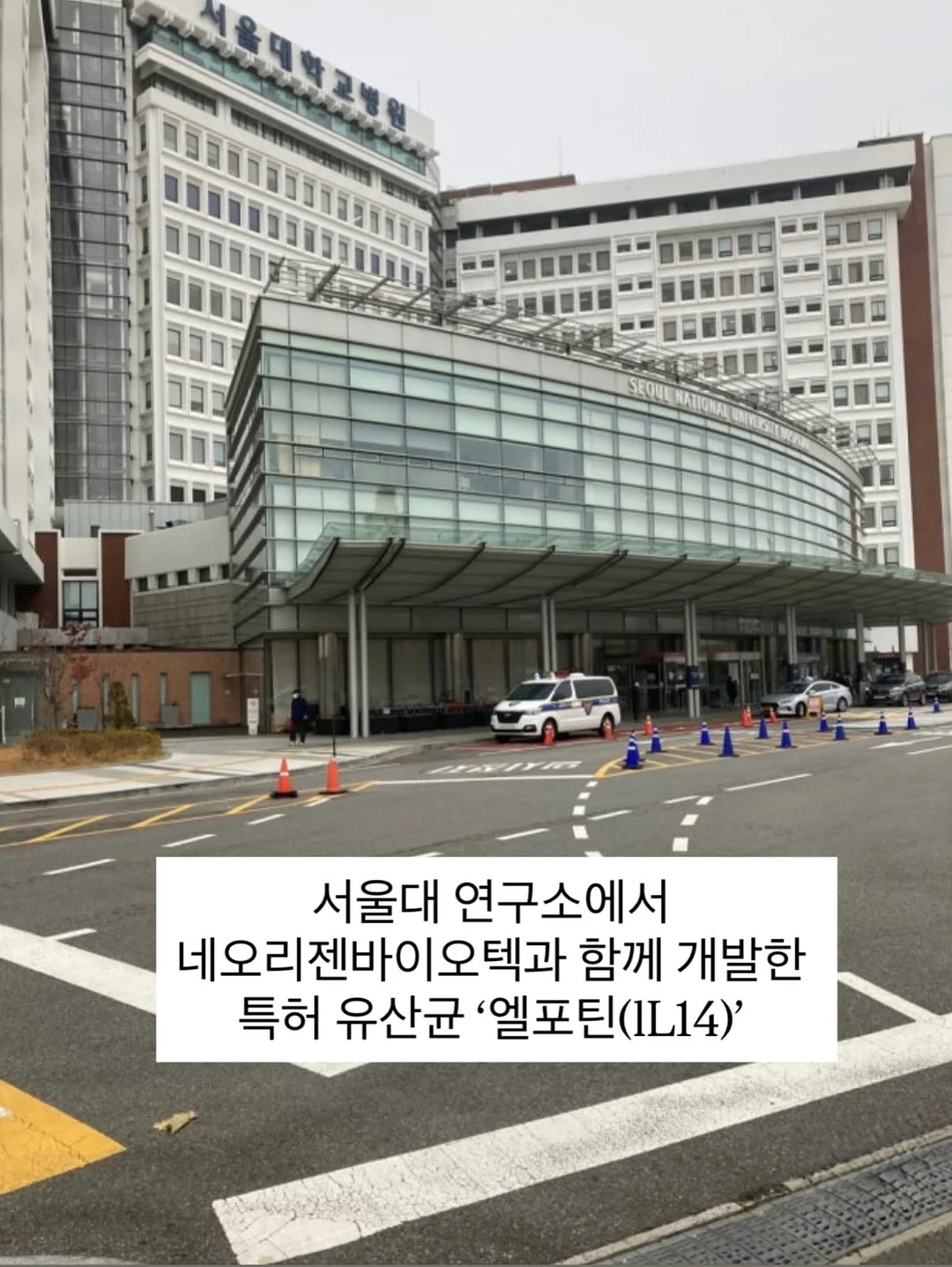 써니티, 원더치마팬츠, 세라 롱팬츠 2