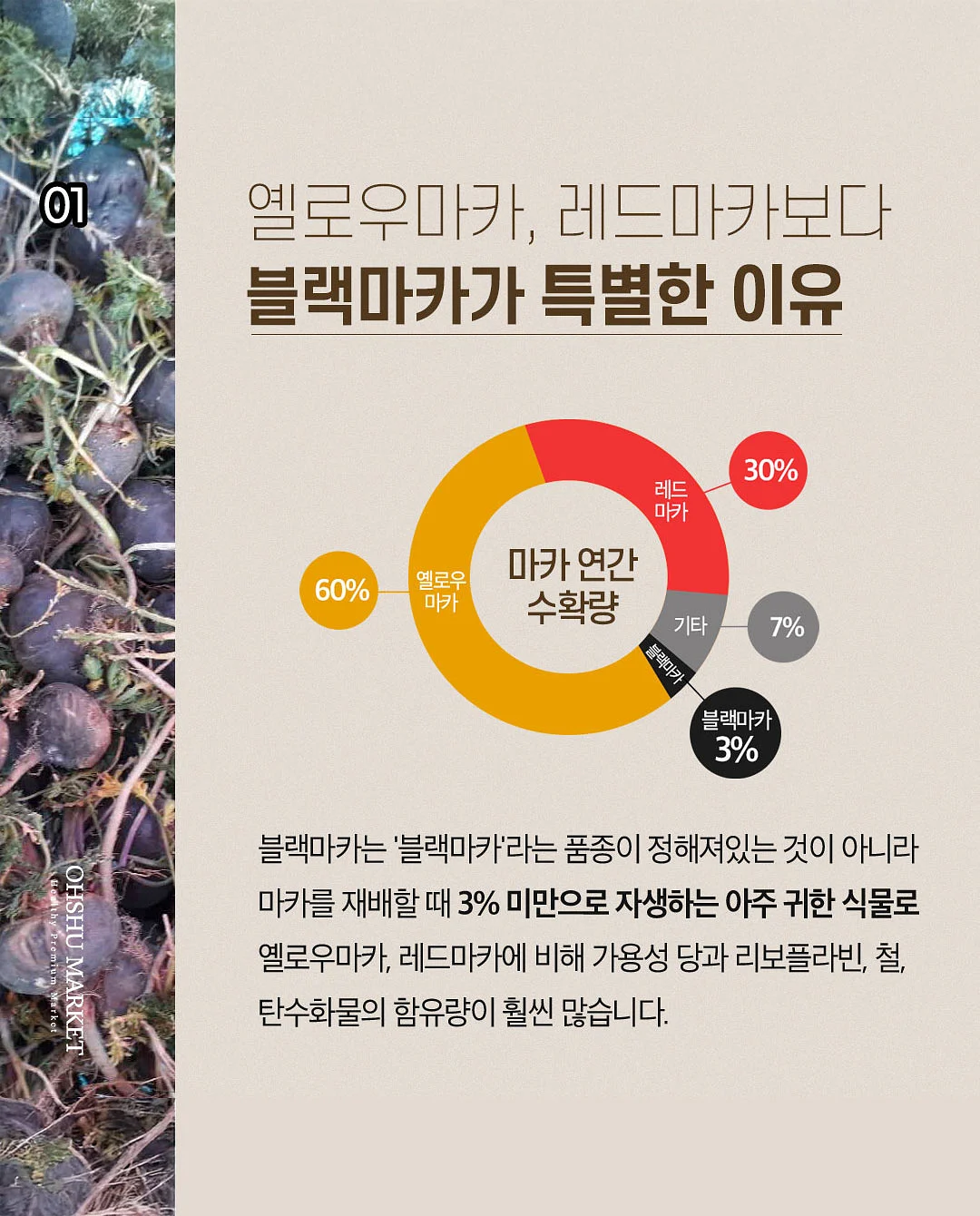 키티 폰케이스 2