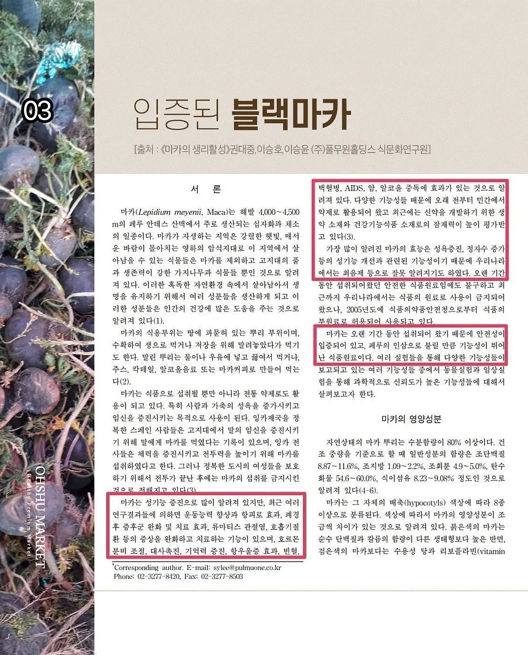 키티 폰케이스 5