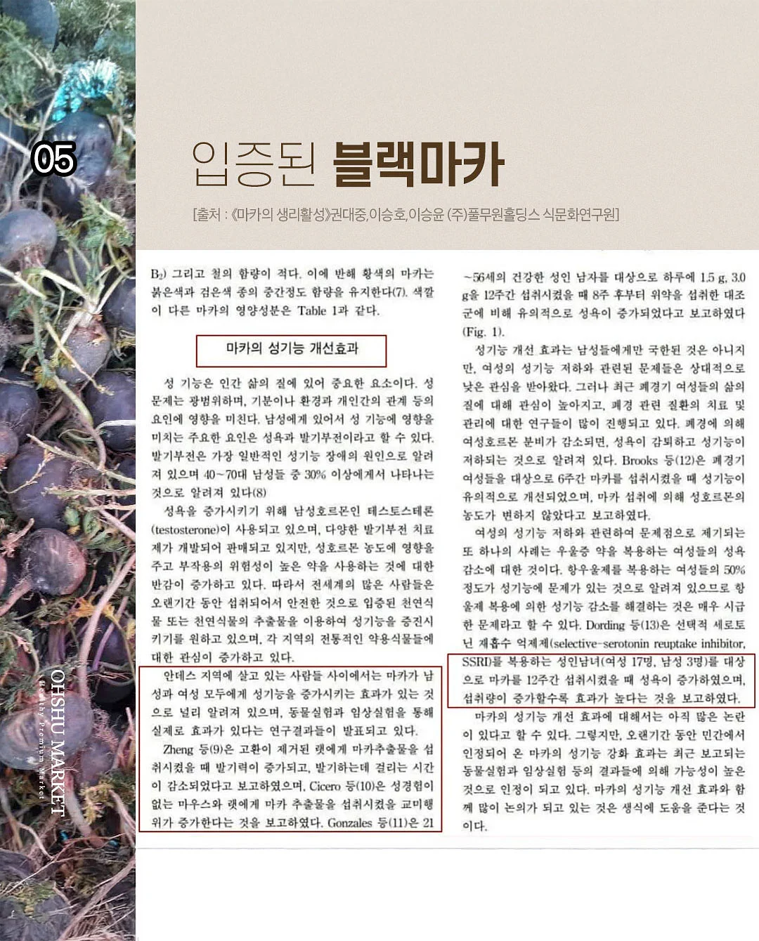 키티 폰케이스 7