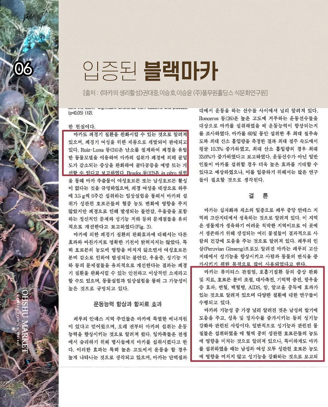 키티 폰케이스 8