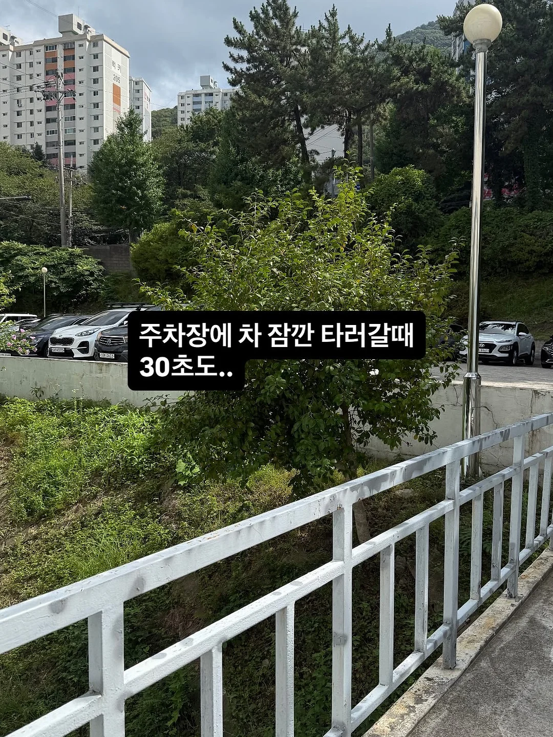 러플스커트 3