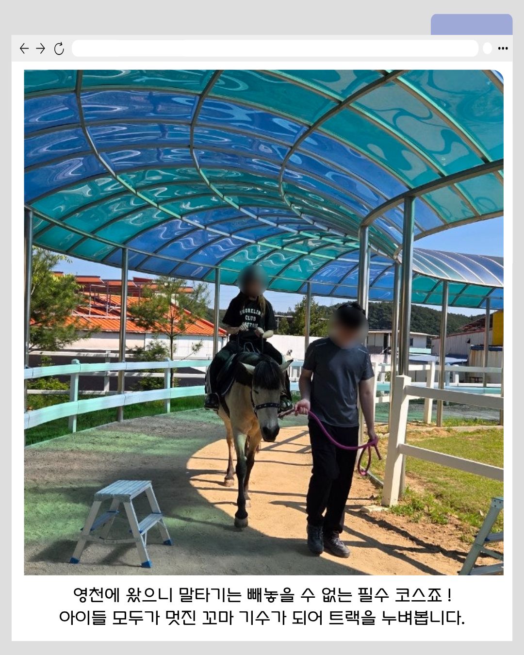 강아지 시스루 꽃 자수 옷 7