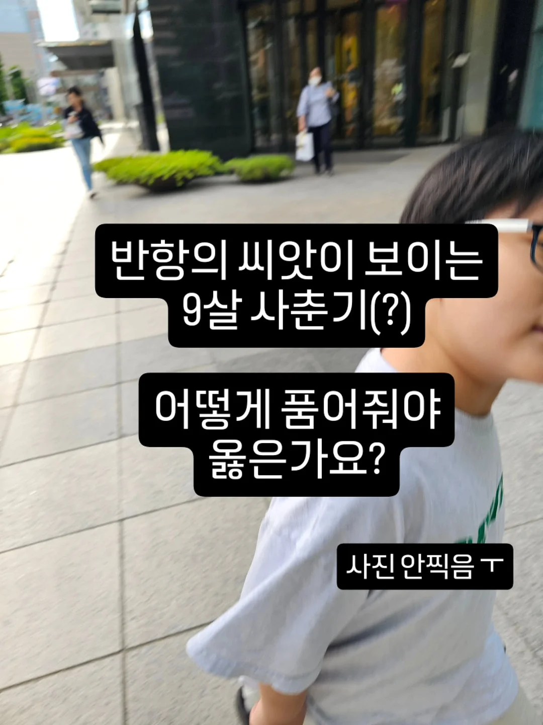 망고치즈파이 1