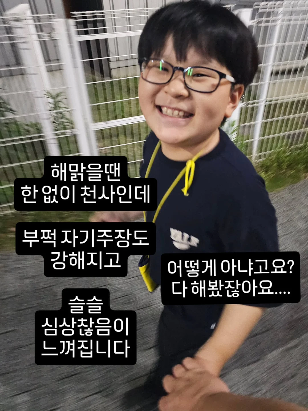 망고치즈파이 2