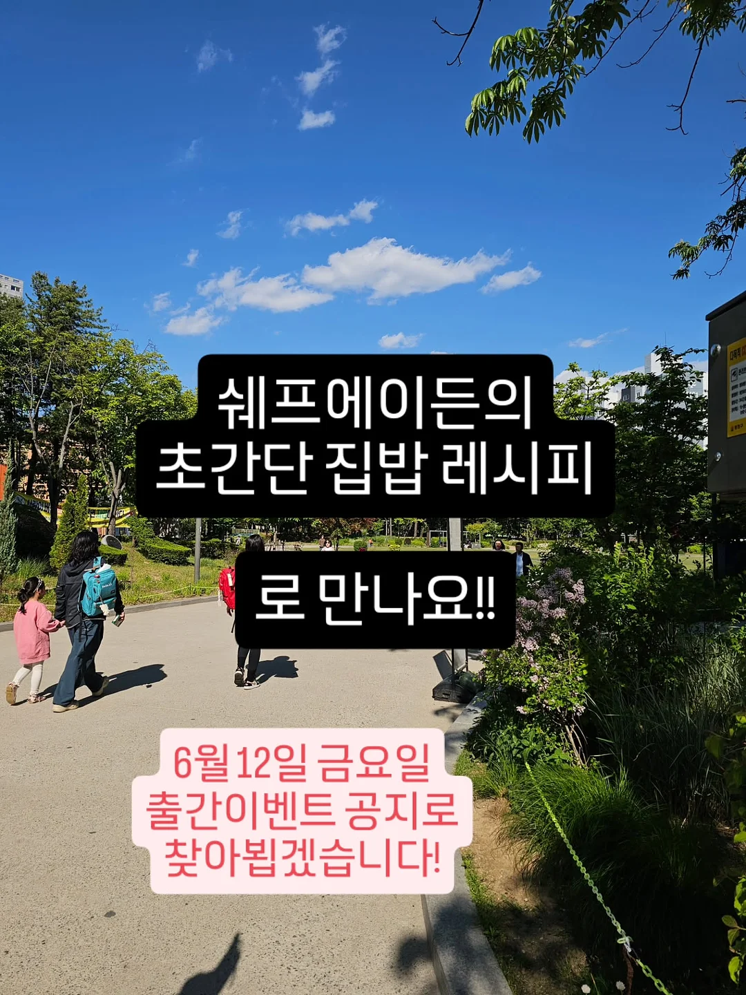 망고치즈파이 5