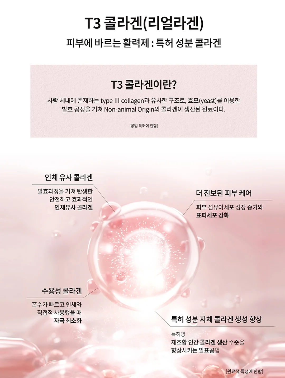 바테킨 프로젝트 13