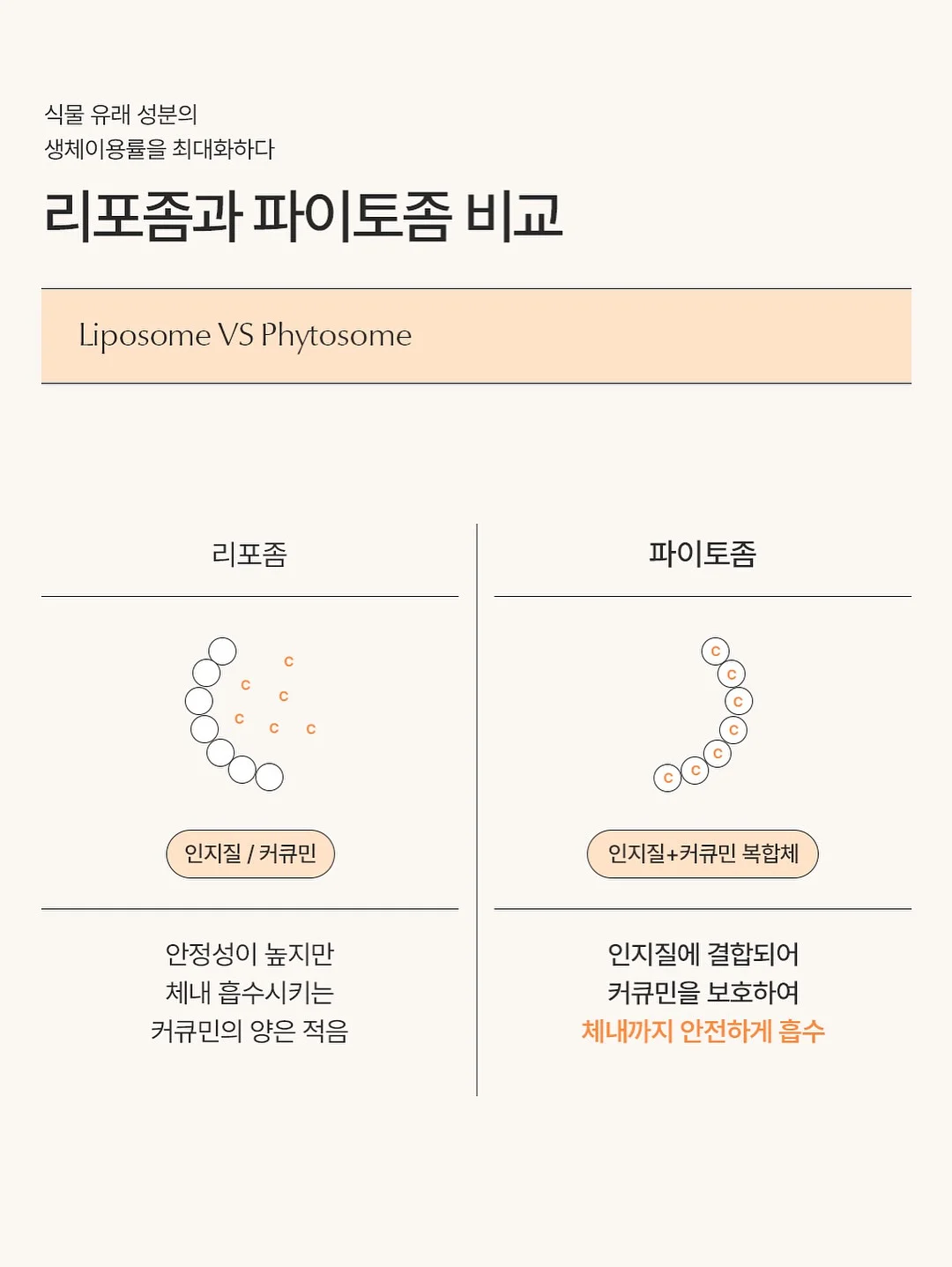 드림롯드 2