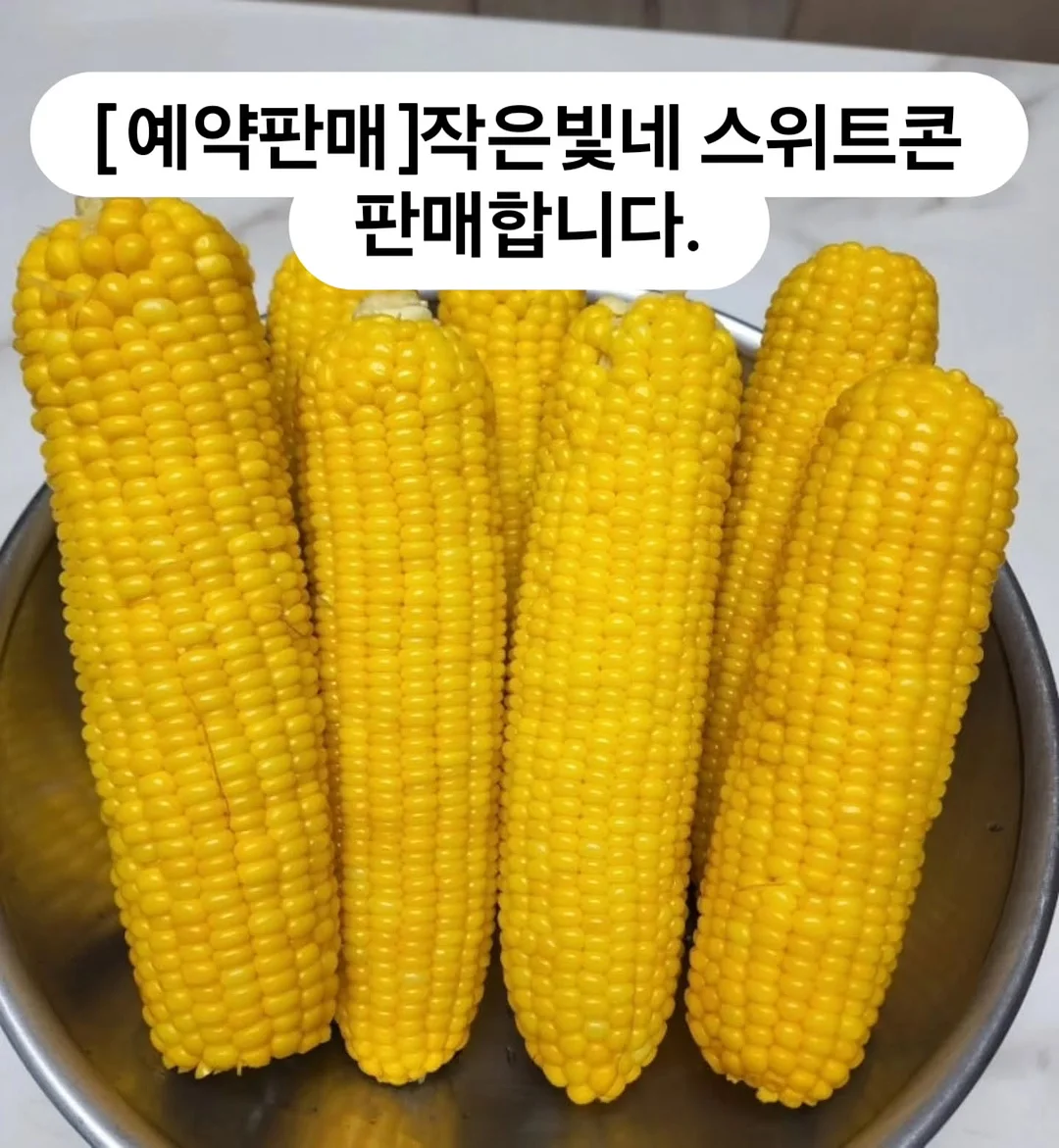 홀리스터 자수로고 하프팬츠 1