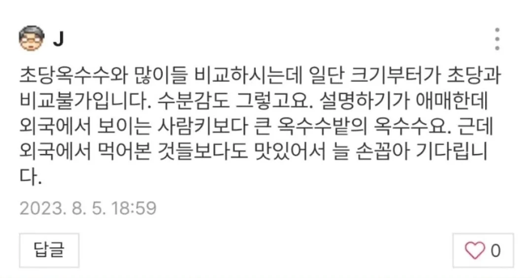 홀리스터 자수로고 하프팬츠 2