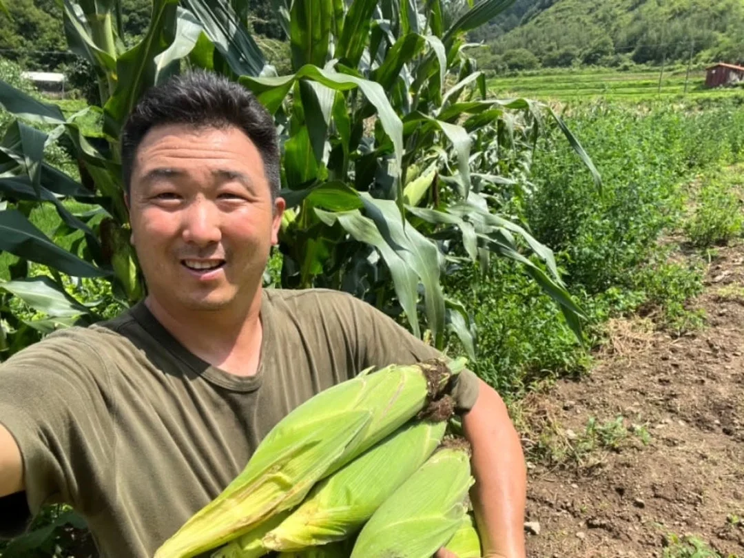 홀리스터 자수로고 하프팬츠 6