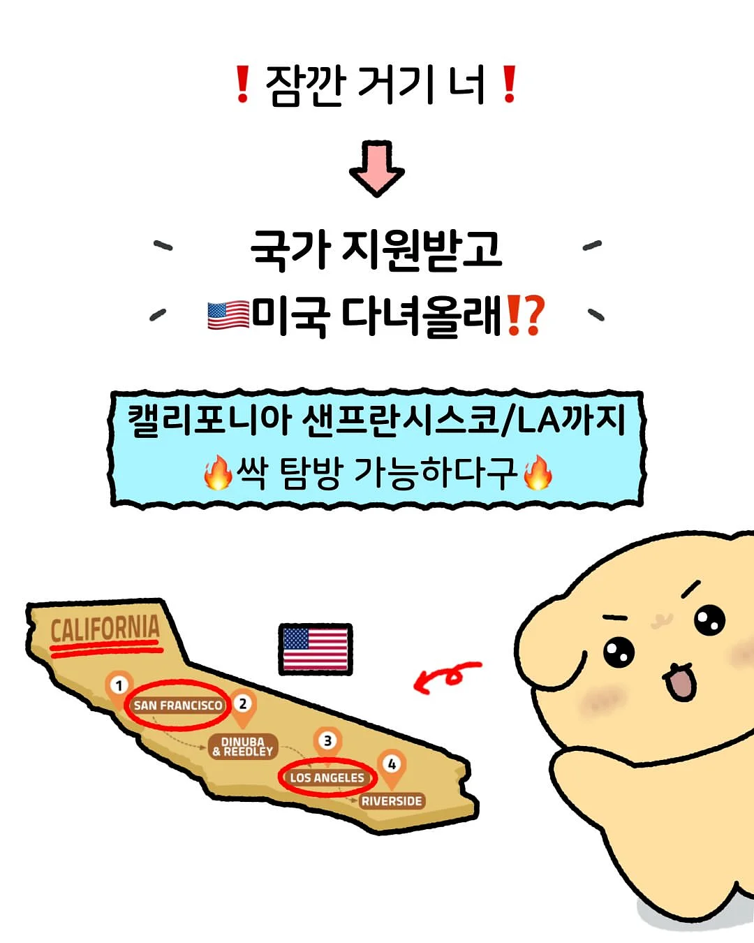 강아지 인식표 2