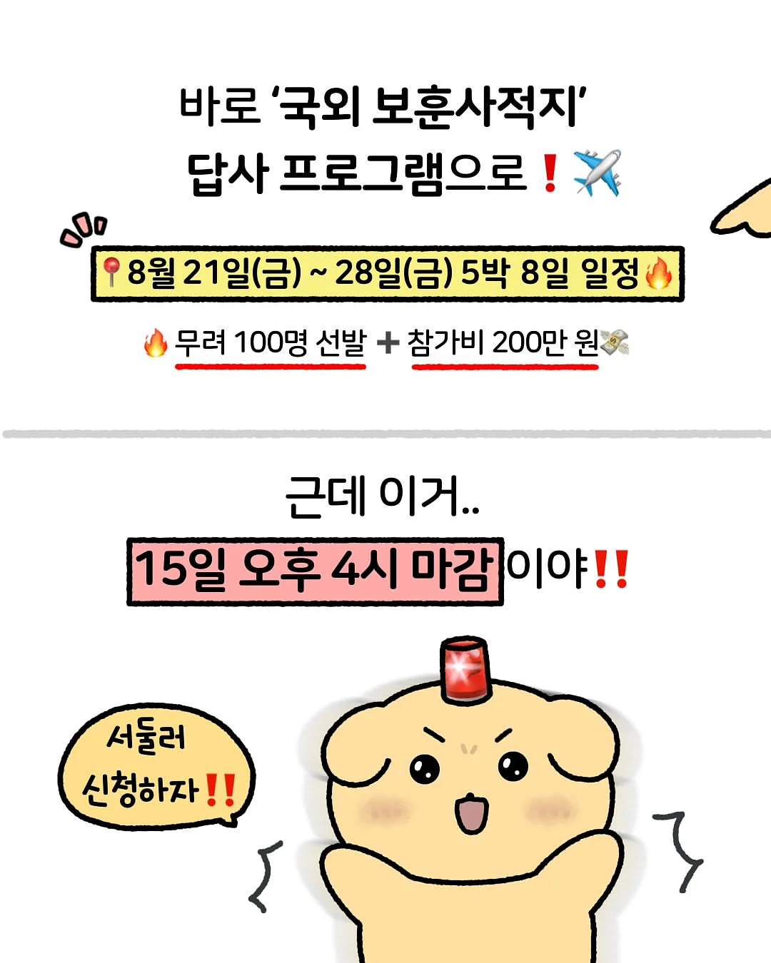 강아지 인식표 3