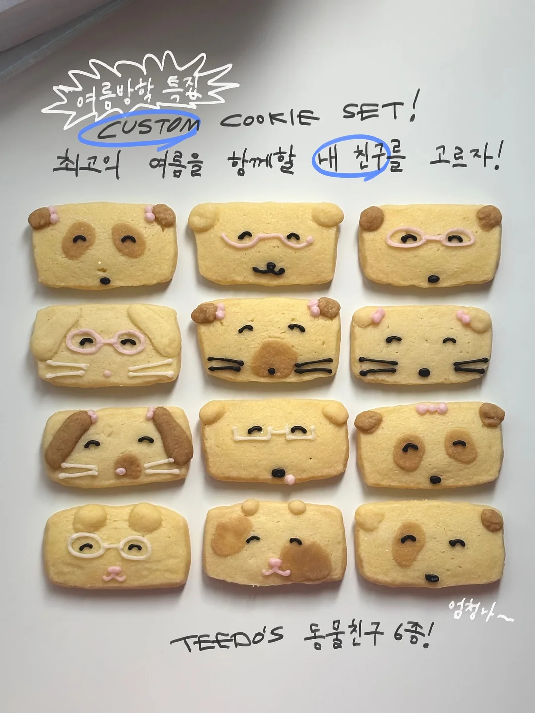 가쉬 버블팩 2