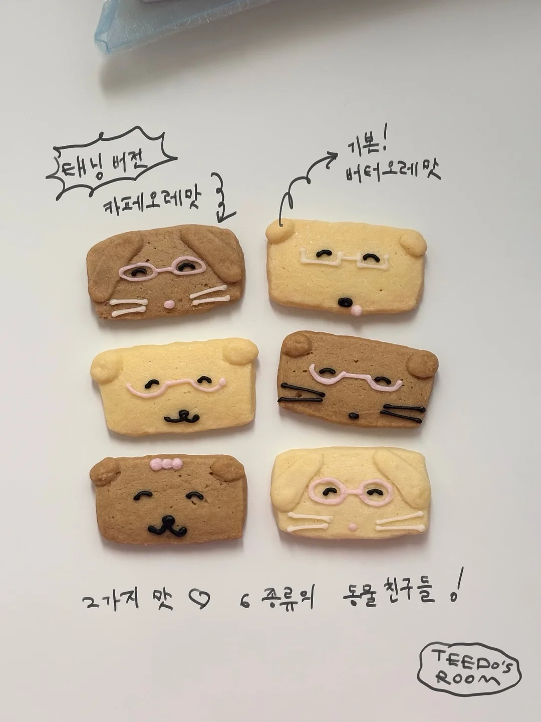가쉬 버블팩 6