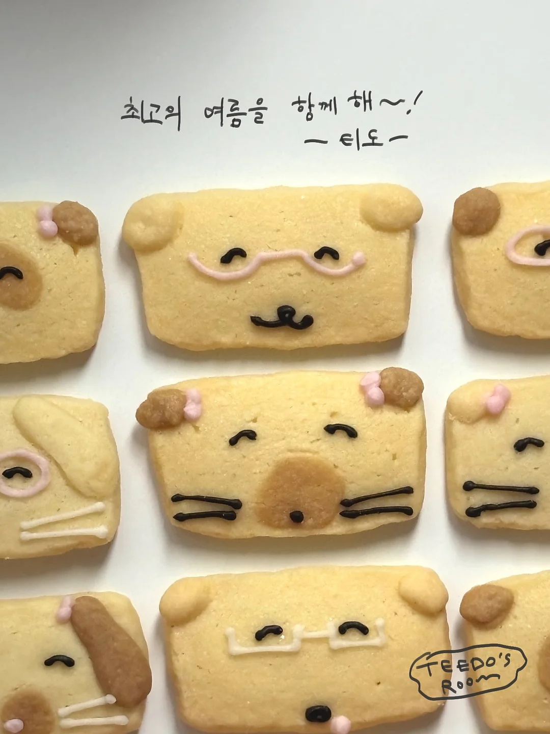가쉬 버블팩 8