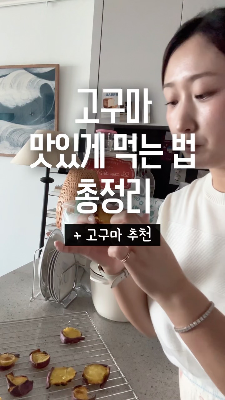 퀄리텔 접이식 모기채