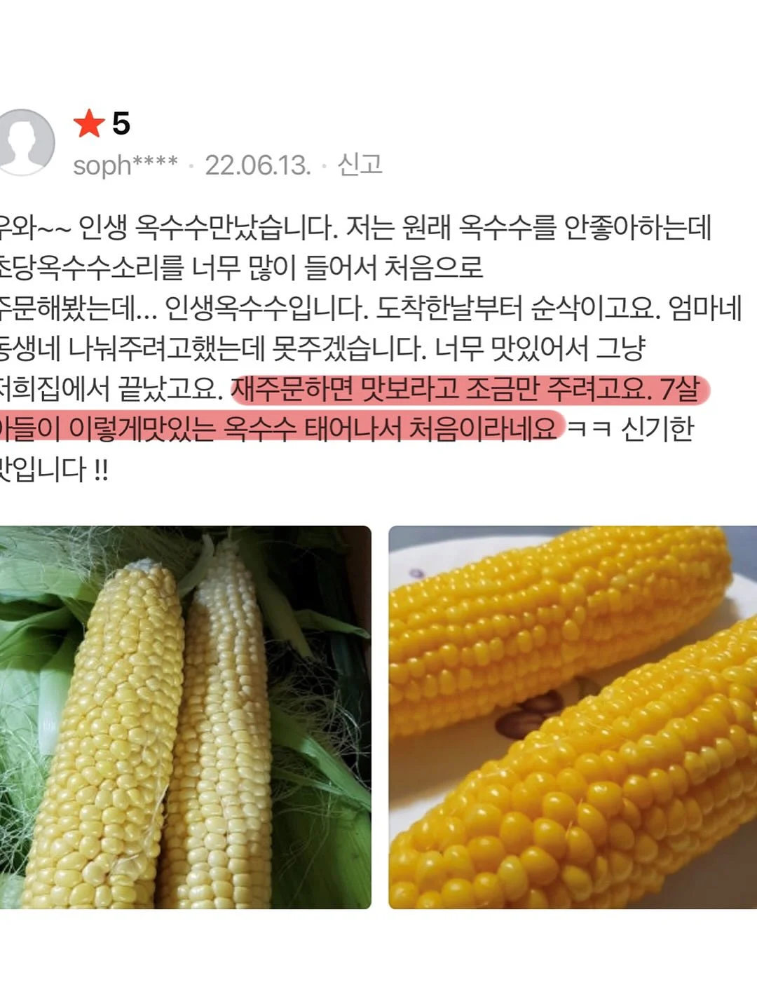폴로 반팔 셔츠 11