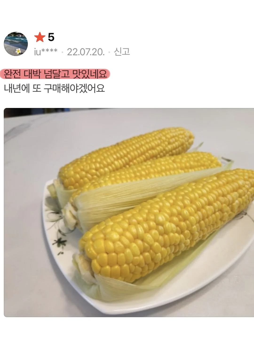 폴로 반팔 셔츠 13