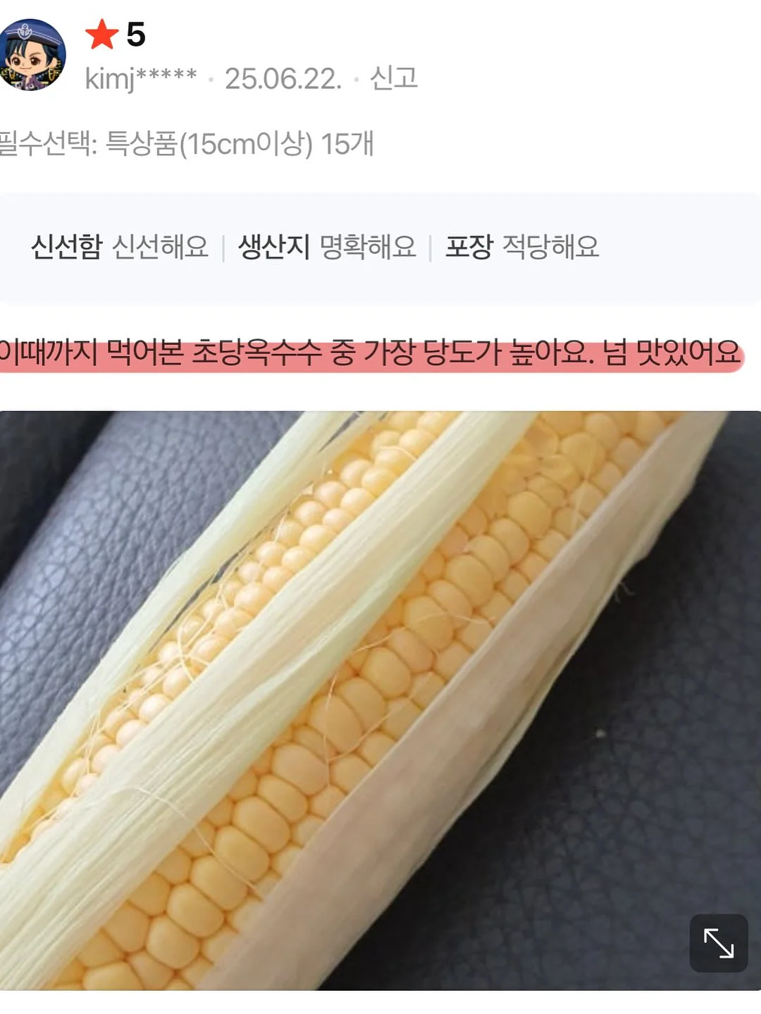폴로 반팔 셔츠 15