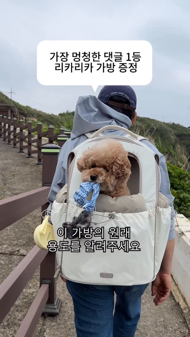 신상 데님 슬랙스