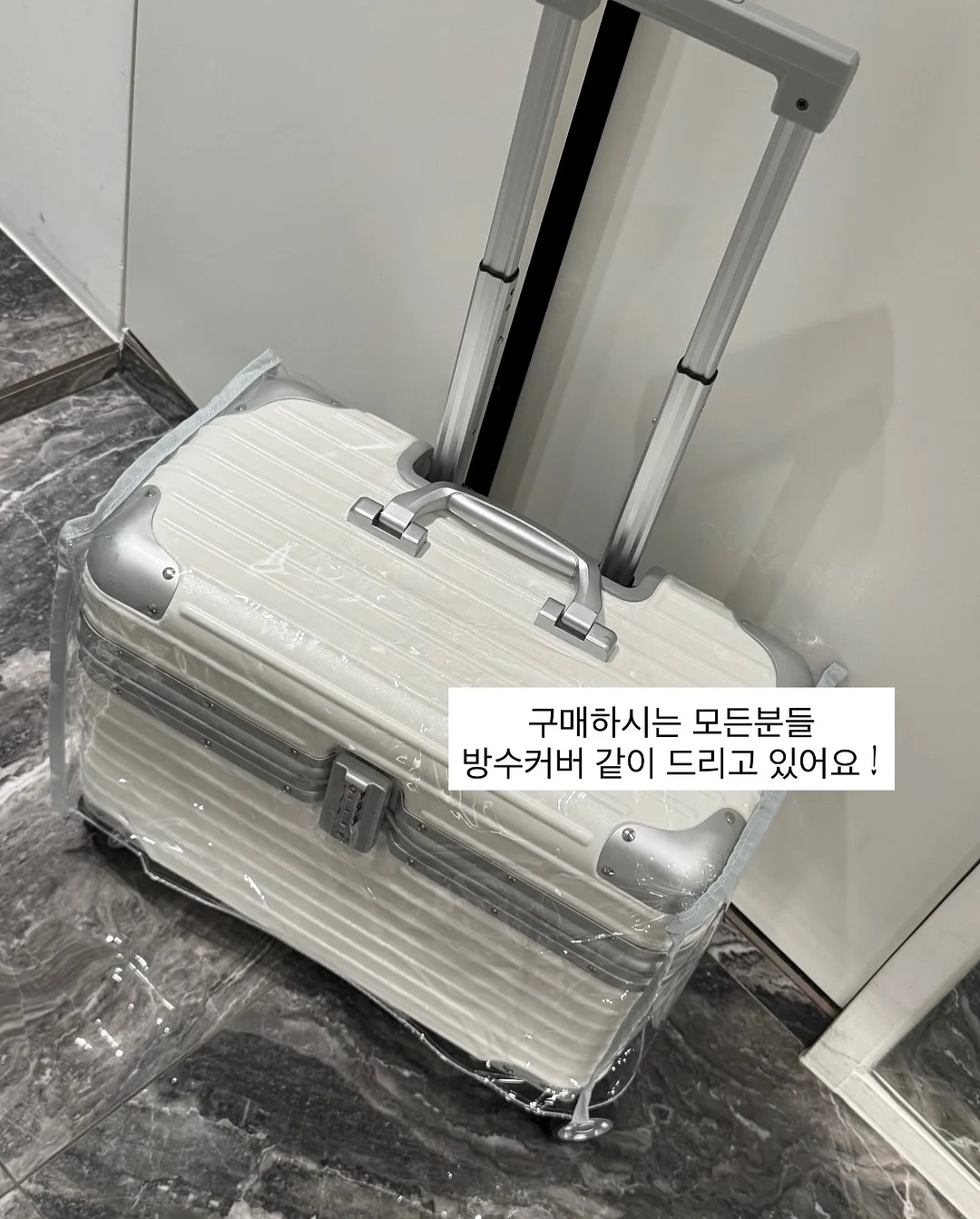 바스크 치즈 케이크 12