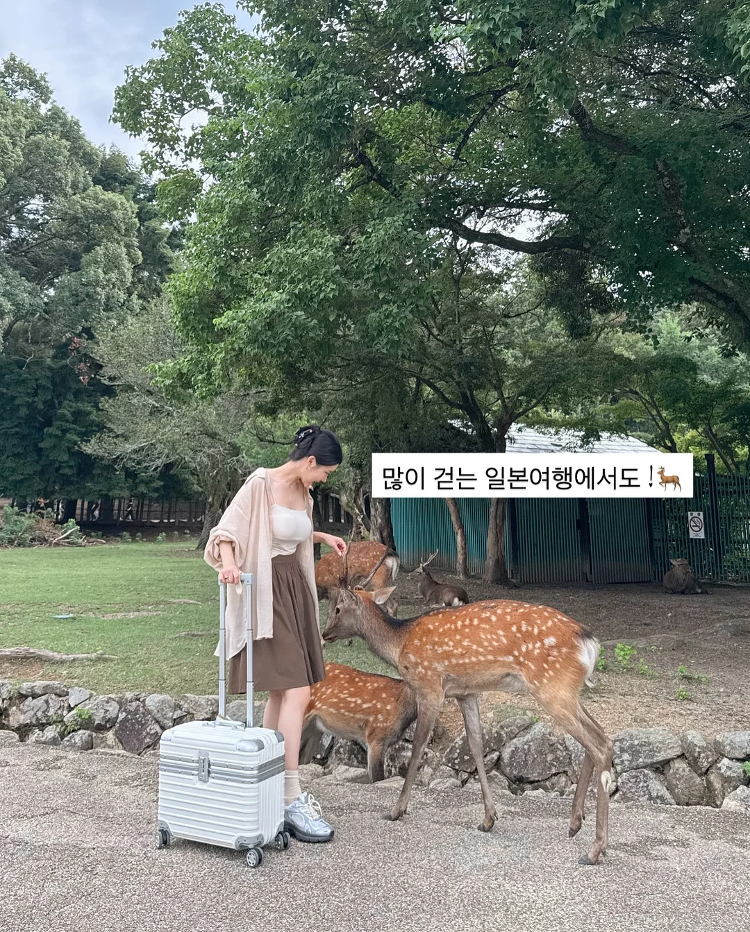 바스크 치즈 케이크 3