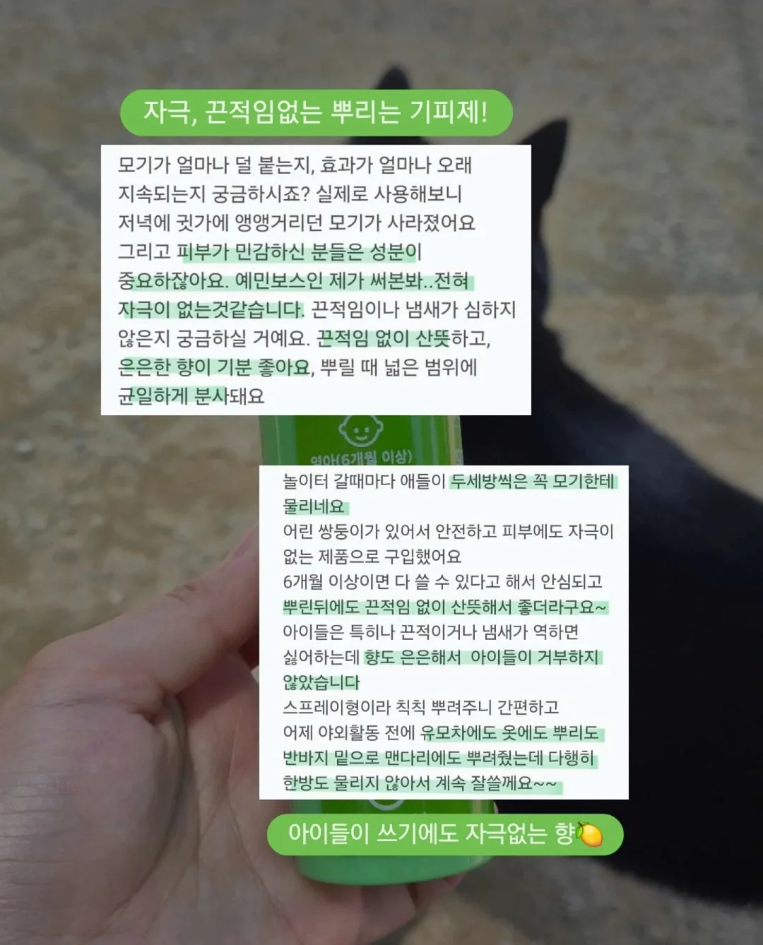 일반줄무늬수박 9kg 13