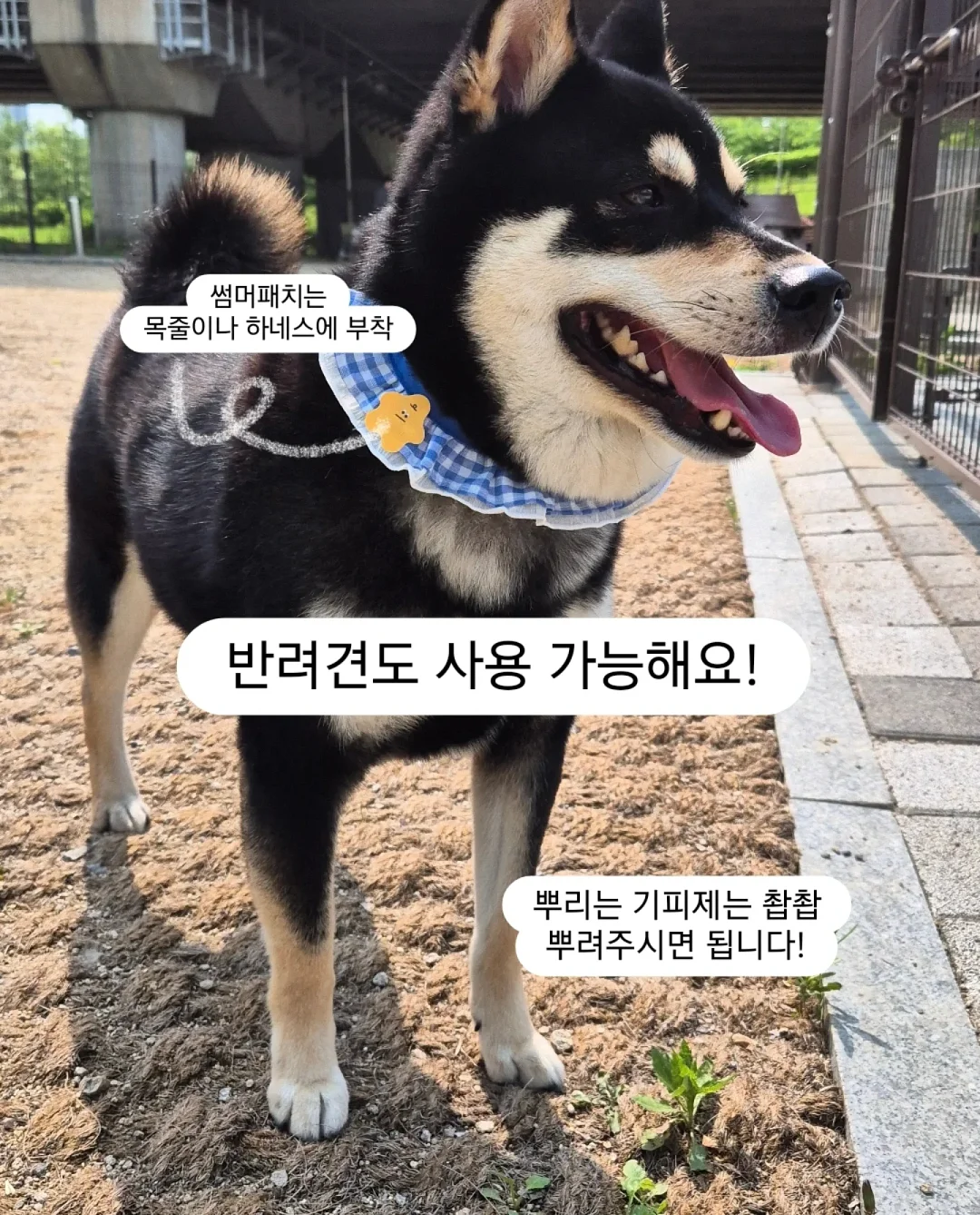 일반줄무늬수박 9kg 18