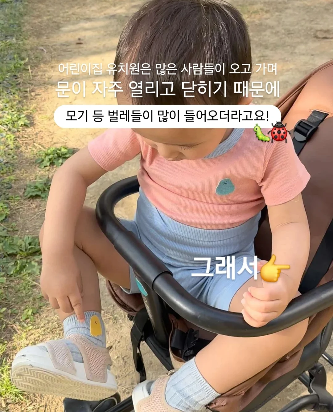 일반줄무늬수박 9kg 2