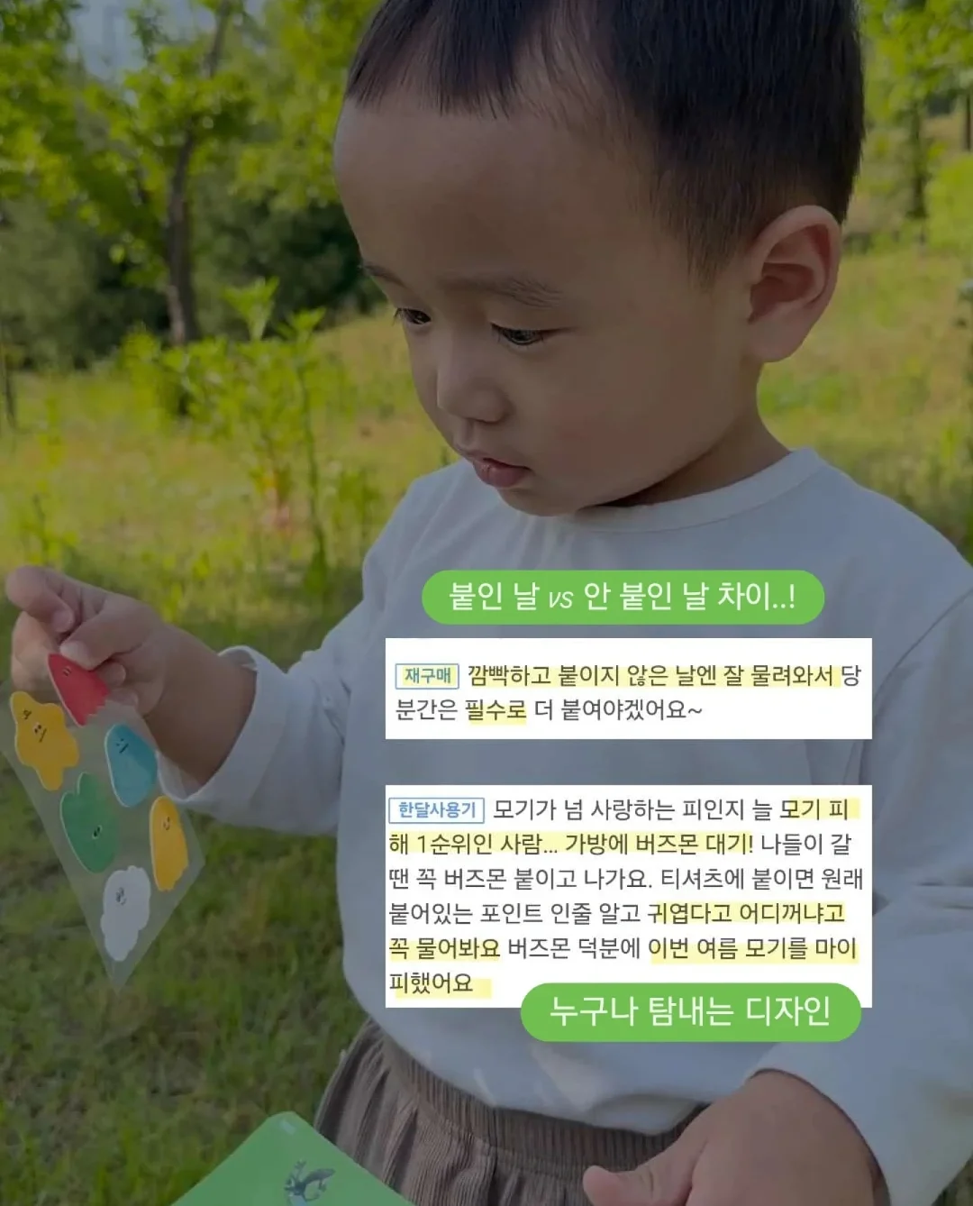 일반줄무늬수박 9kg 6