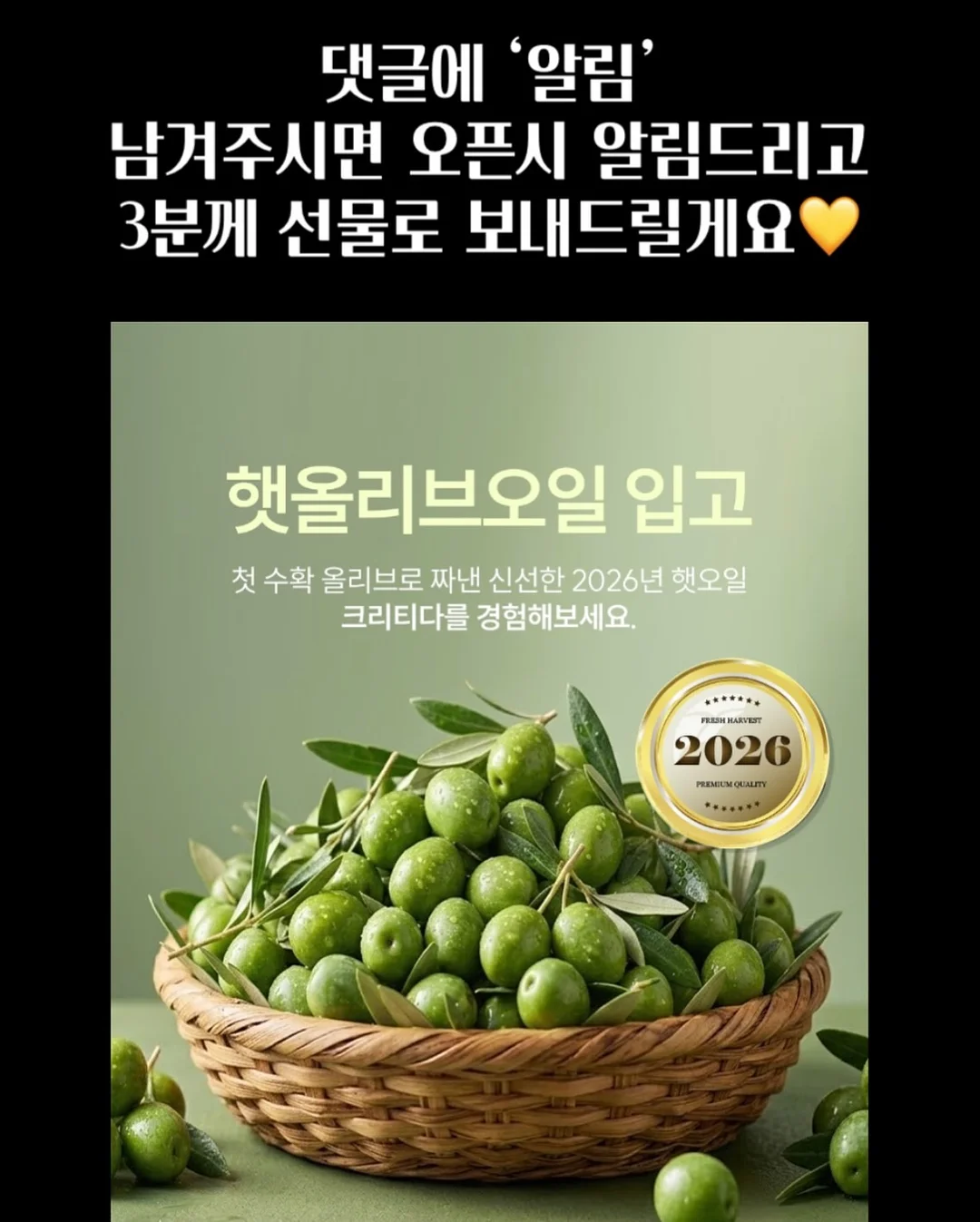 샤마망 수영복 12