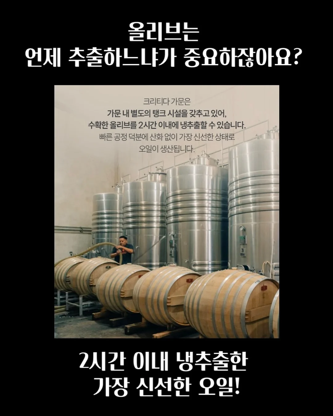 샤마망 수영복 7