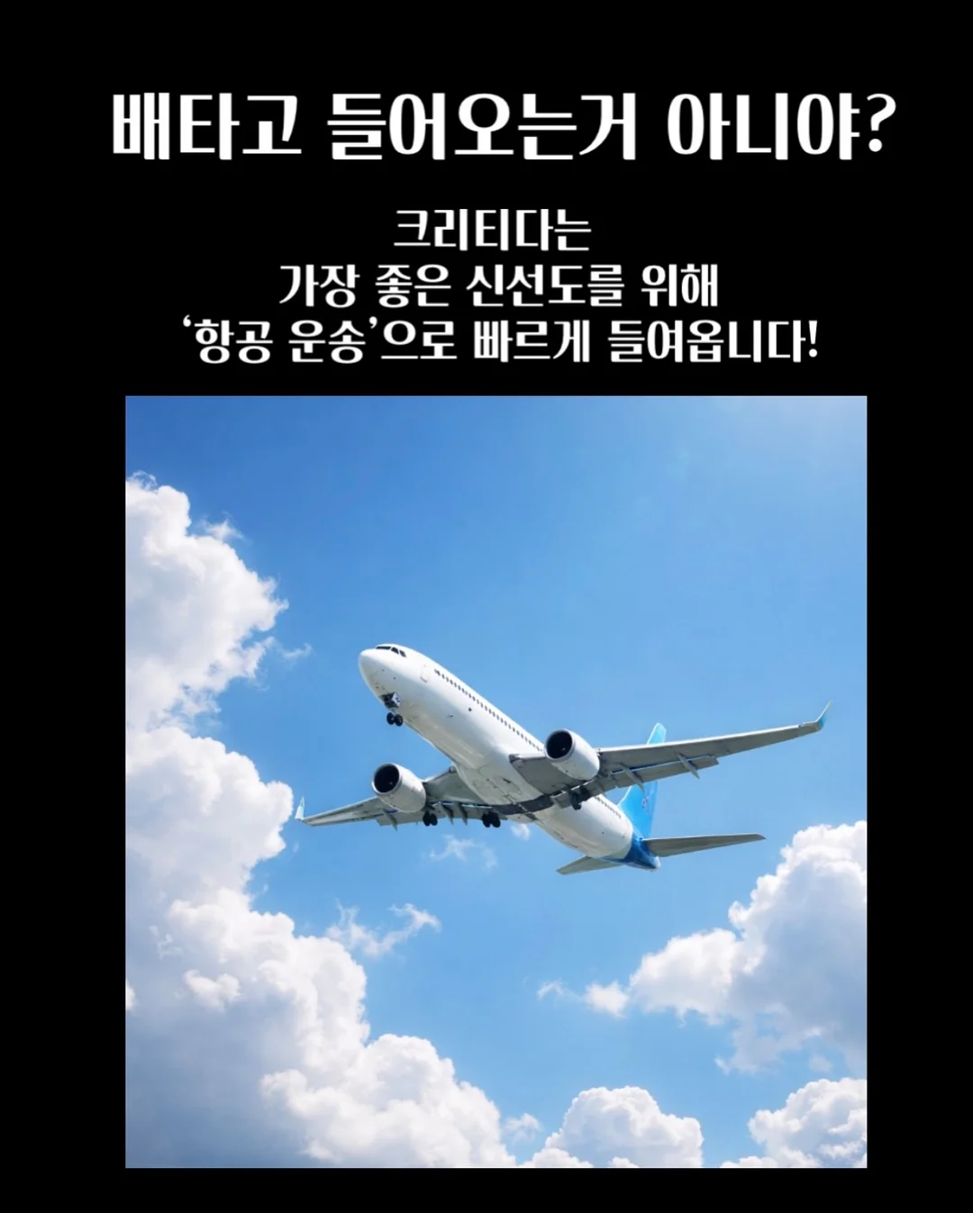 샤마망 수영복 8