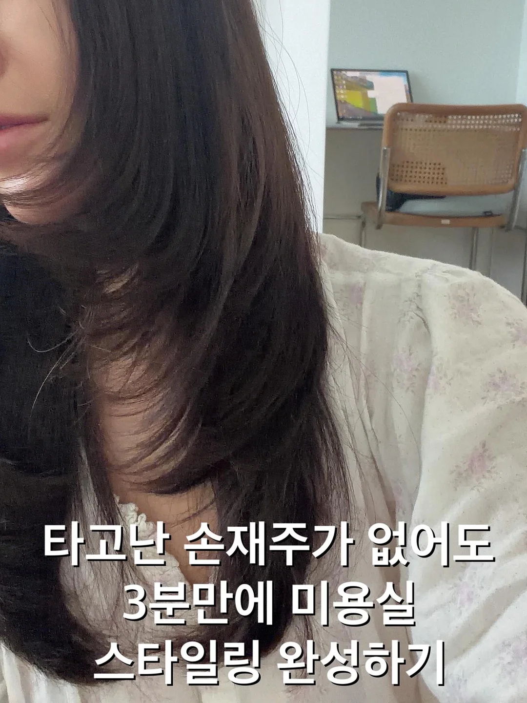 고양이 열마리 1