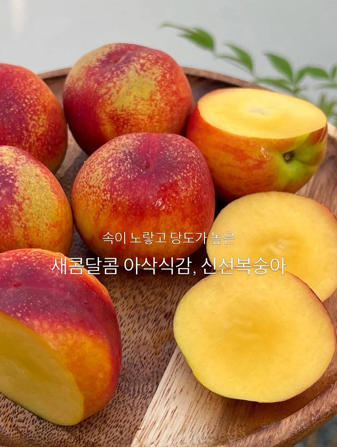 흑임자모찌 쫀득빵 8