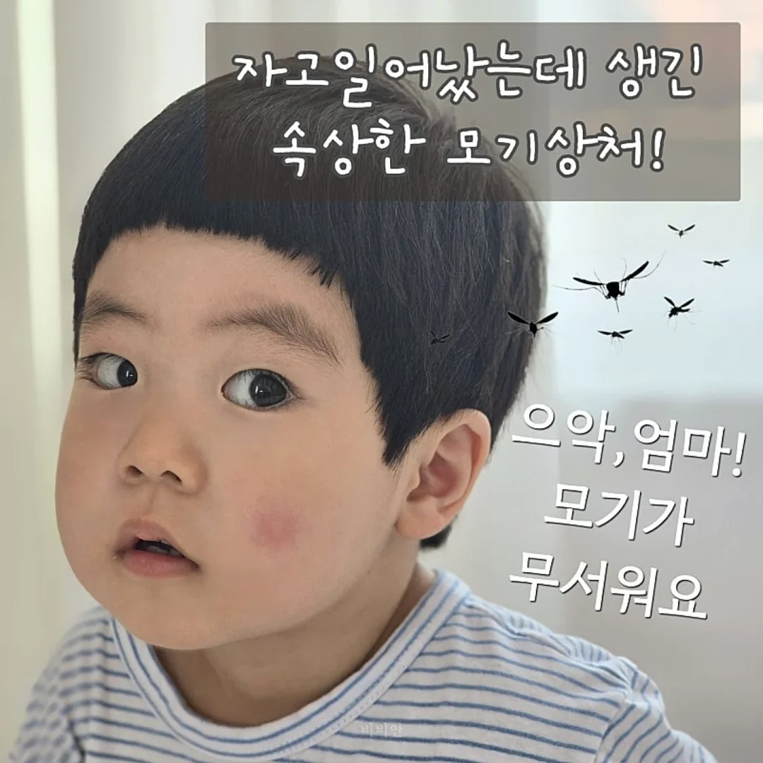 슈벤치 4