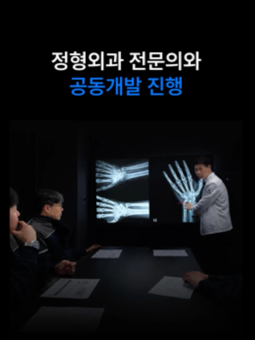 제이써니카네이션 호접란 8