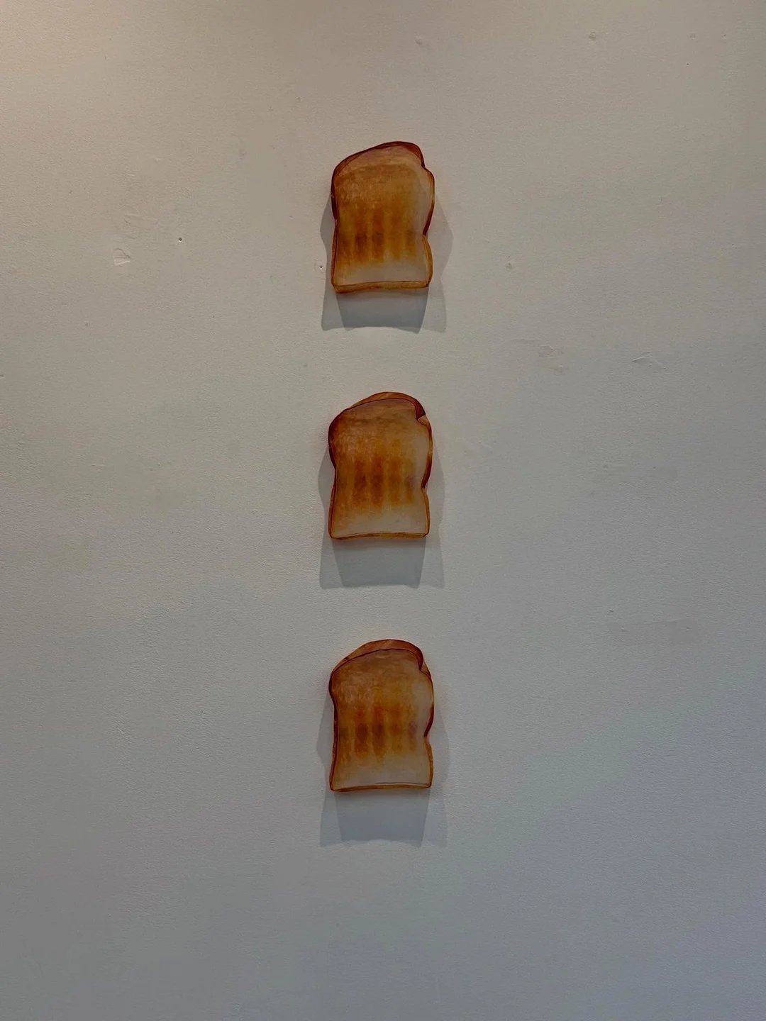 버섯 10
