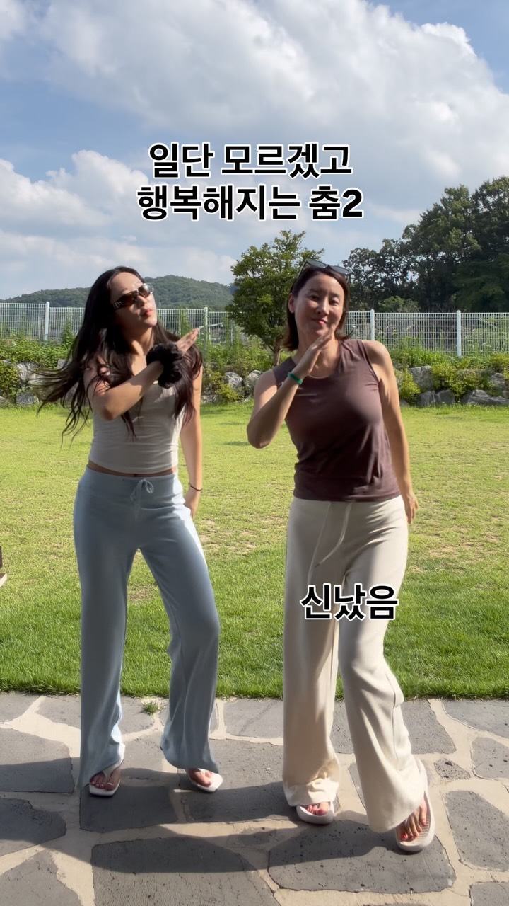 행운 식물 화분