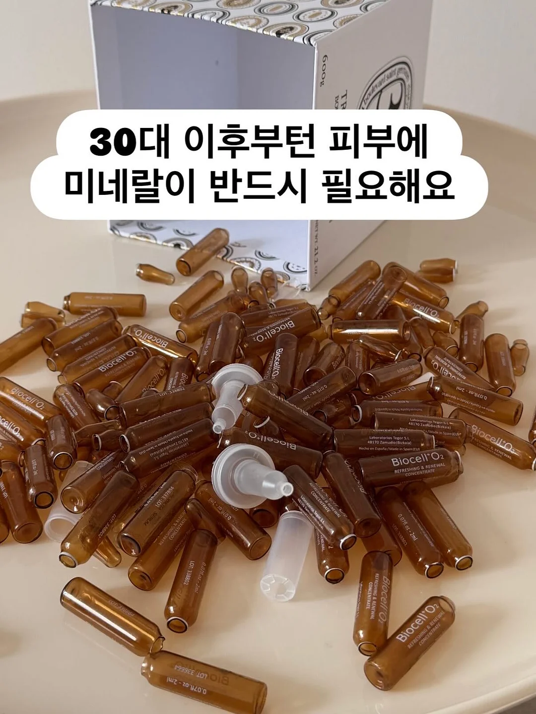 접시 정리대 1
