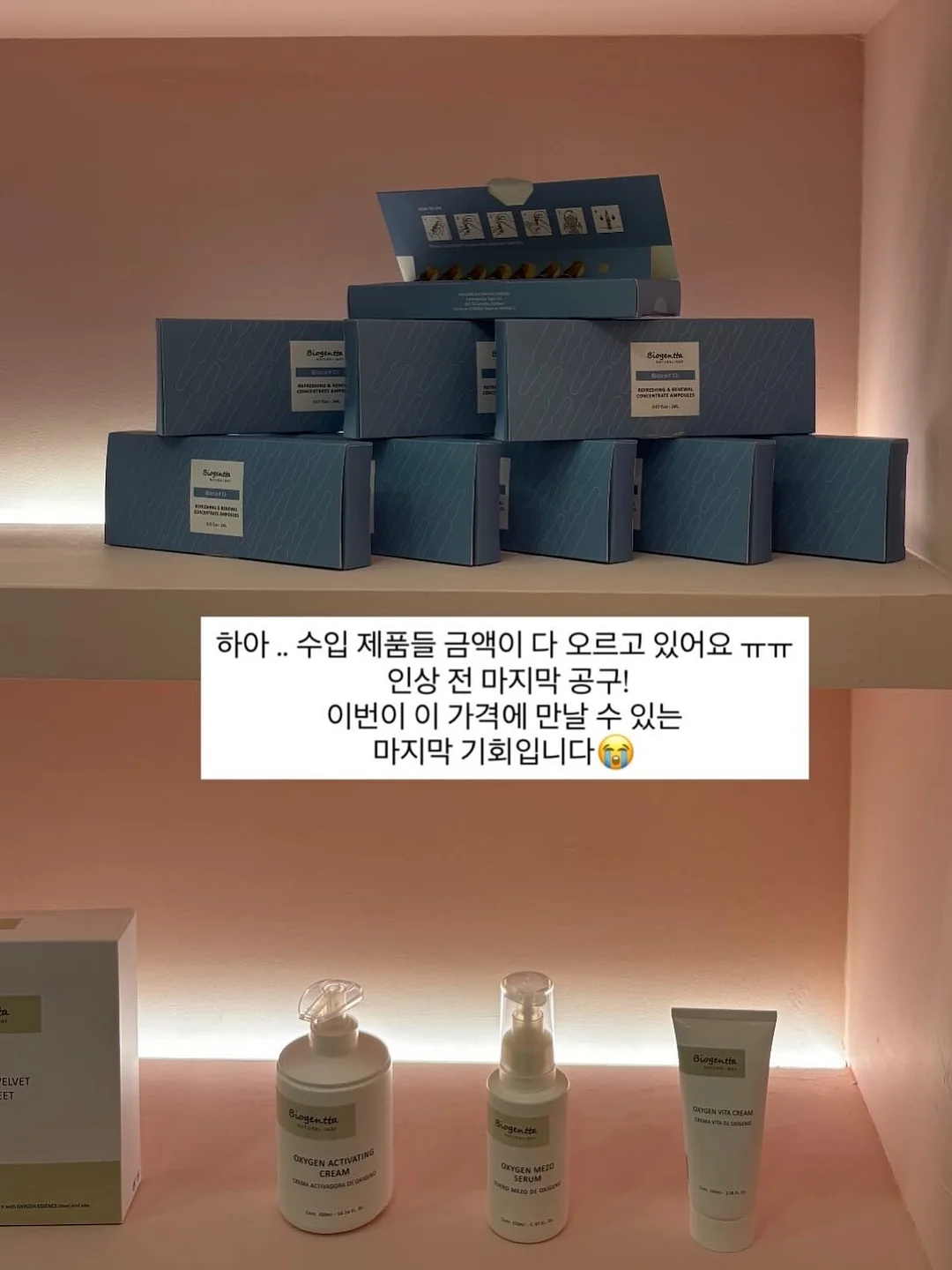 접시 정리대 15