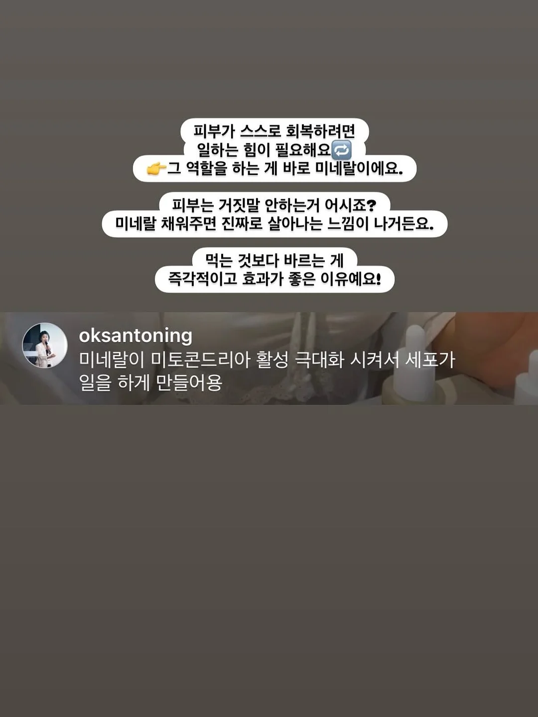 접시 정리대 3