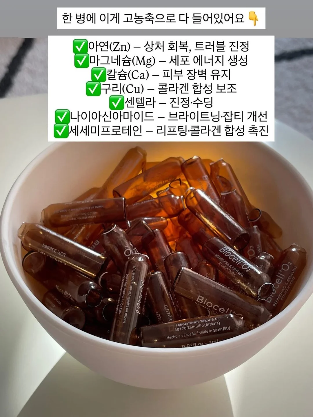 접시 정리대 5