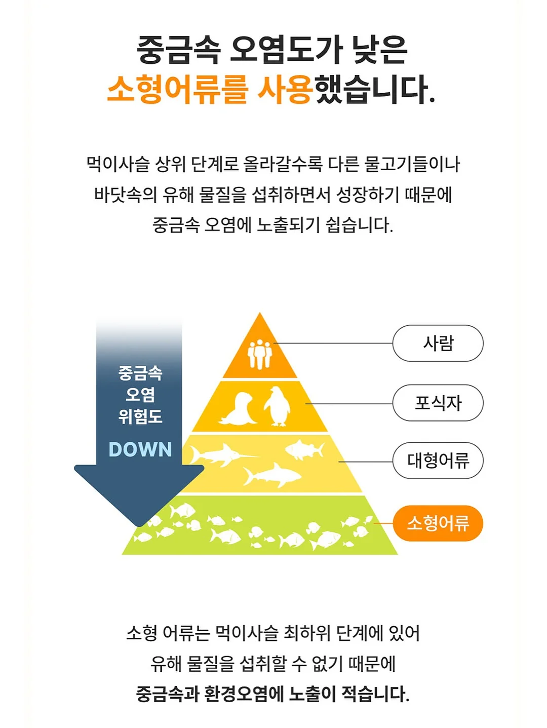 차량용 햇빛가리개 9