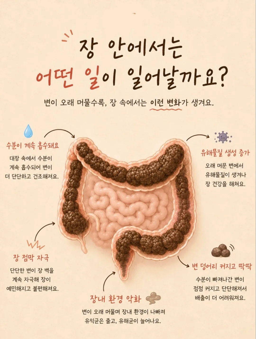 린 코너 데스크 4
