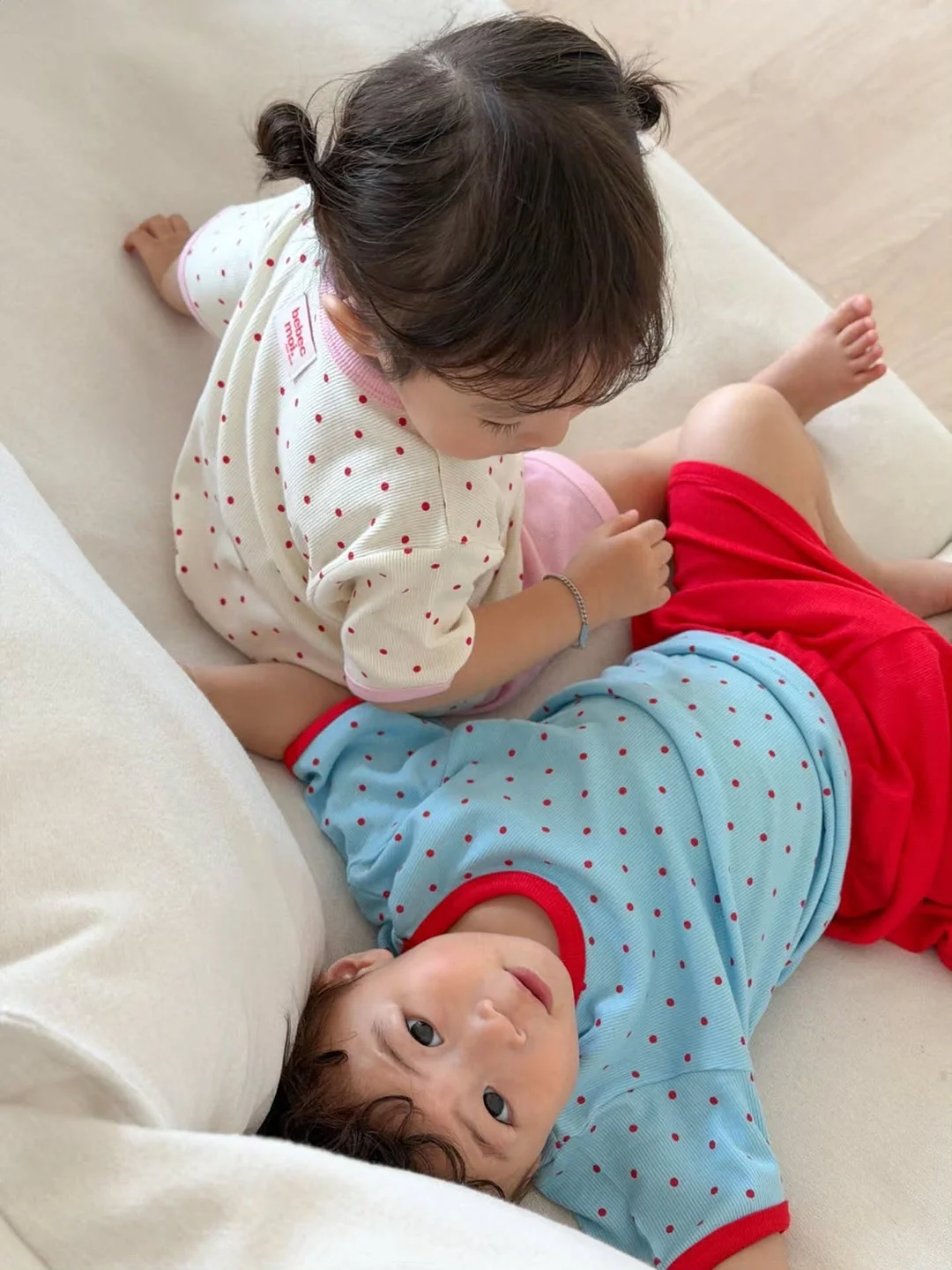 바토치용 페스토 3